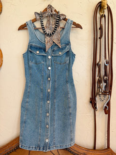 The Darian Denim Dress