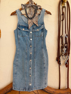 The Darian Denim Dress